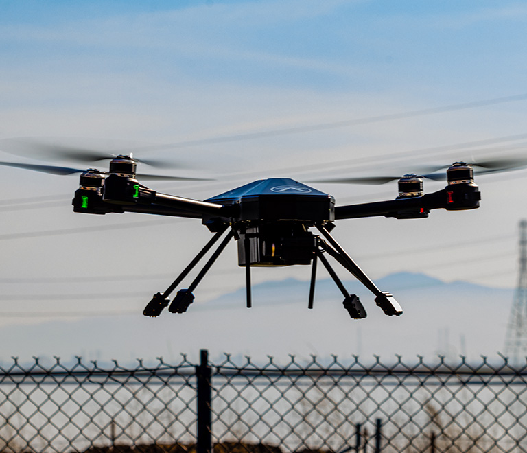 Nightingale Blackbird